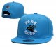 Carolina Panthers Blue Cap