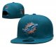 Miami Dolphins Blue Cap