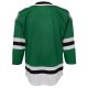 Youth Dallas Stars Green Home Premier Jersey