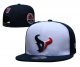 Houston Texans Black and White Cap