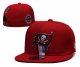 Tampa Bay Buccaneers Red Cap