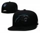 Carolina Panthers Black Cap